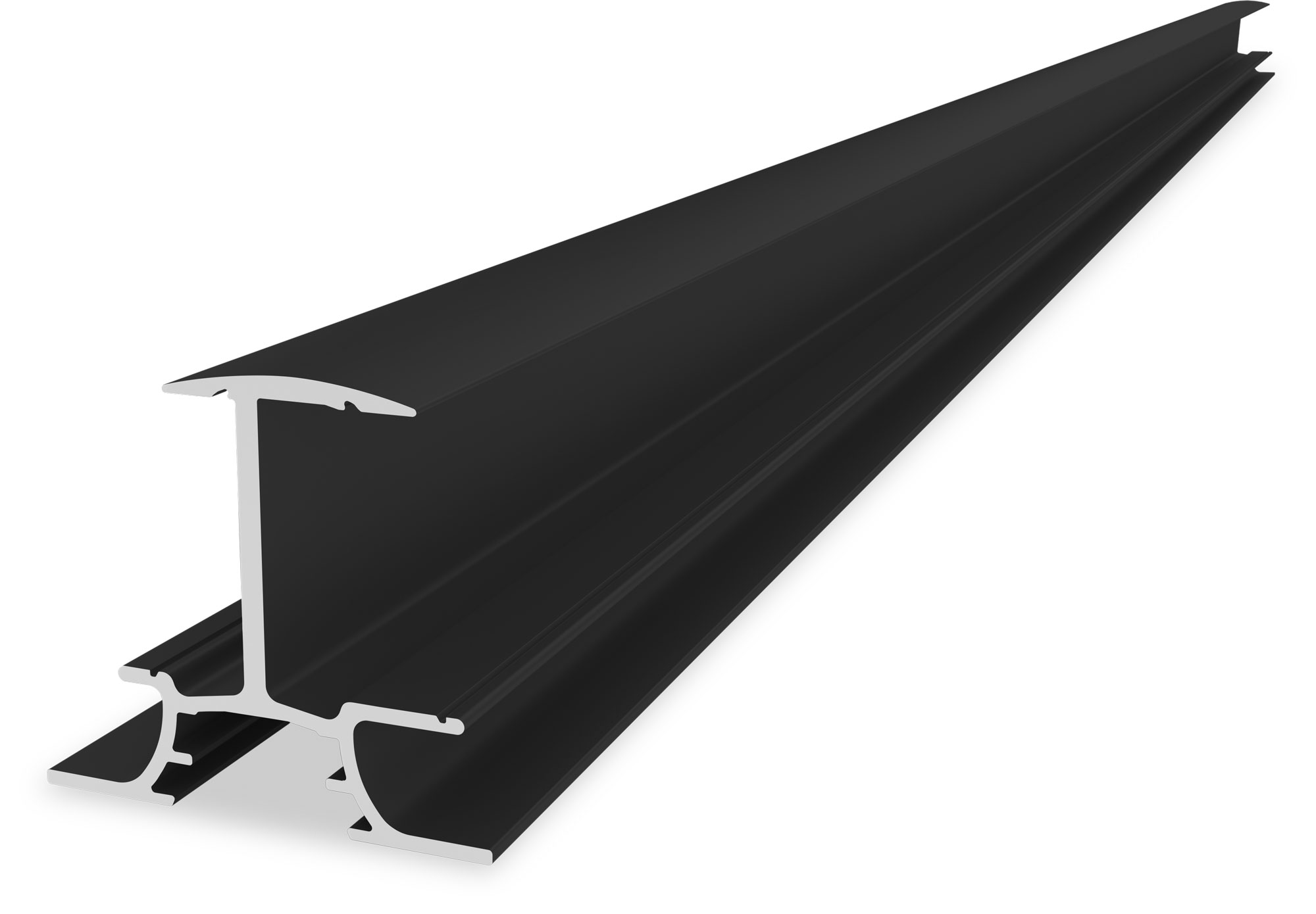 InsertionRail 2.0 - 30, 5,70m schwarz eloxiert